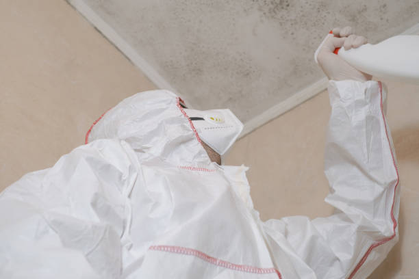 Best Fast Mold Removal  in Minneola, FL