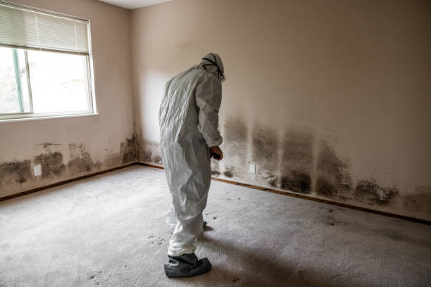 Best Mold Testing  in Minneola, FL